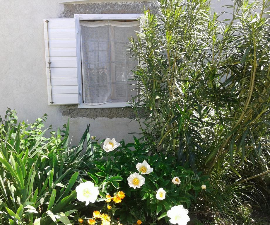 Flori Adriatic Marezige Exterior foto
